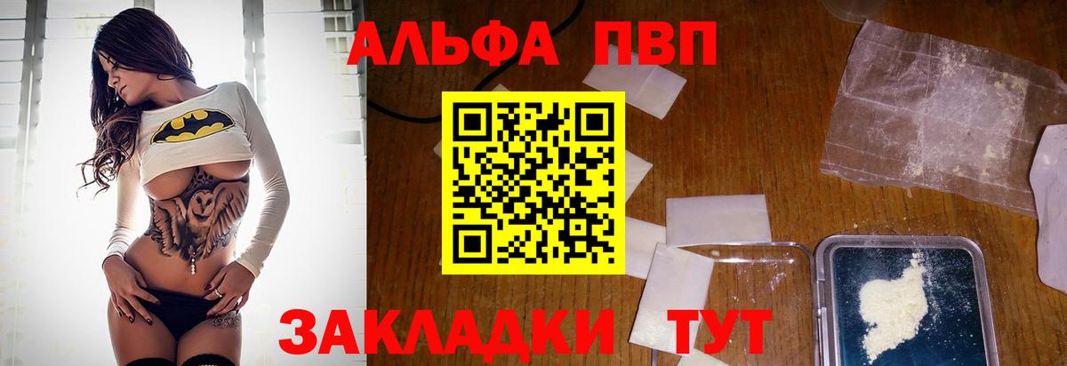 Альфа ПВП СК Балашов