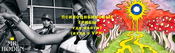 apvp Алексин