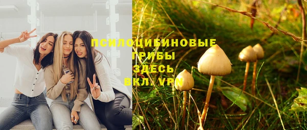 apvp Алексин