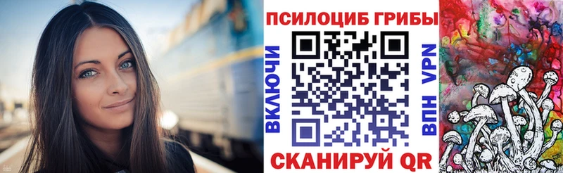 Галлюциногенные грибы Psilocybine cubensis  купить наркотики сайты  Балашов 