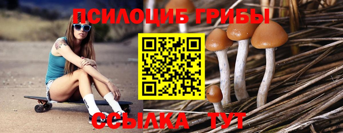Галлюциногенные грибы GOLDEN TEACHER Балашов