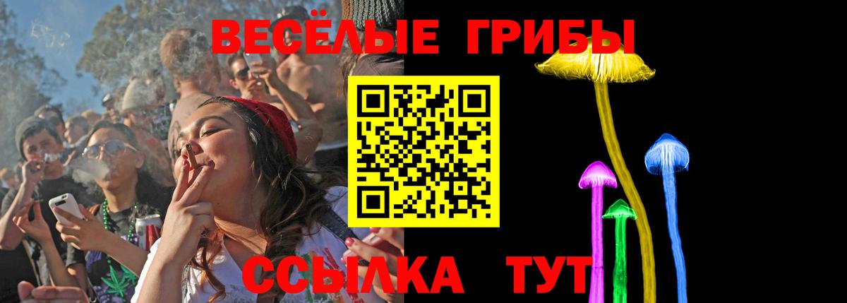 Псилоцибиновые грибы MAGIC MUSHROOMS  Вход с VPN  Балашов  Псилоцибиновые грибы MAGIC MUSHROOMS 